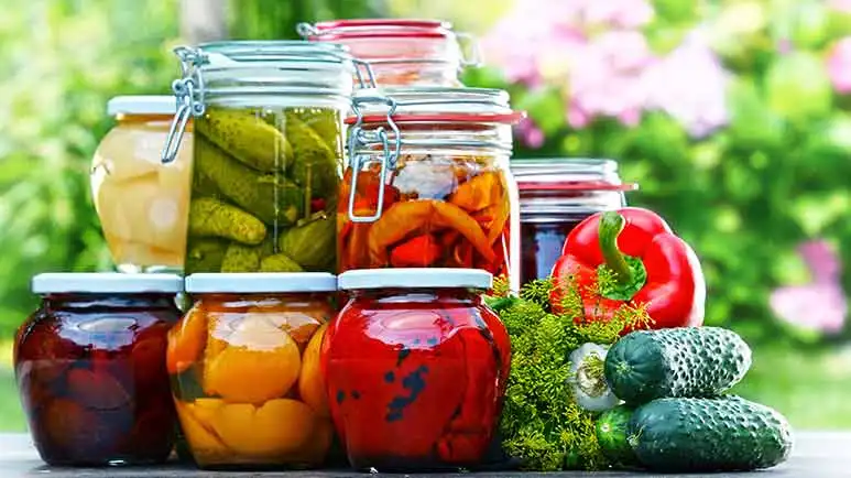 fermented foods for pets