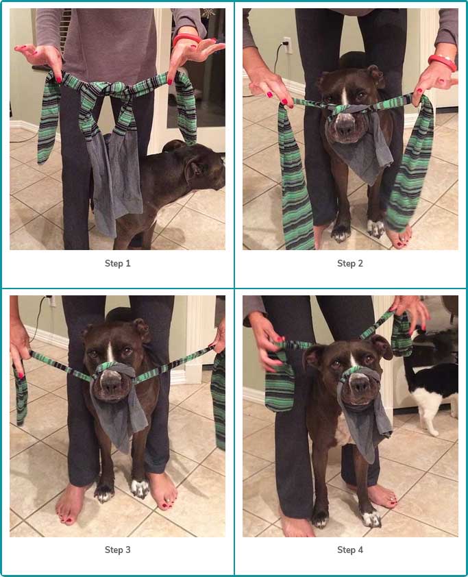 homemade muzzle