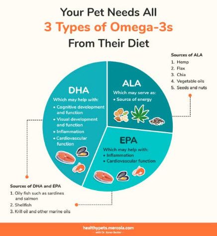 3 types of omega-3s