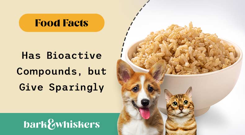 Is Brown Rice Good for Your Pets?