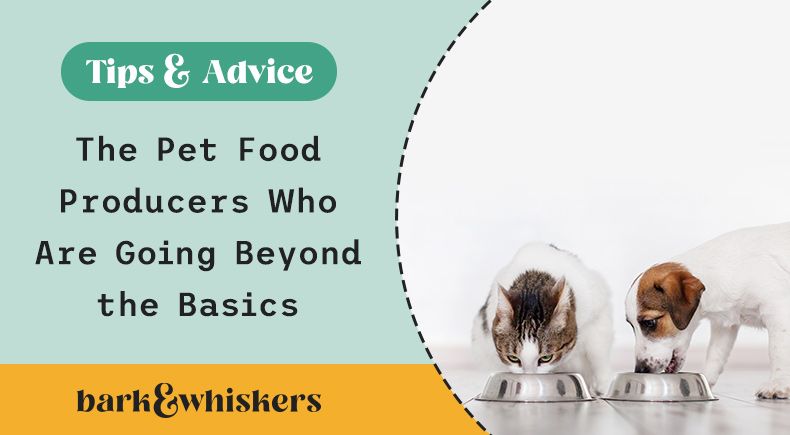 https://www.barkandwhiskers.com/content/images/2023/01/pet-food-feeding-trials-bw.jpg