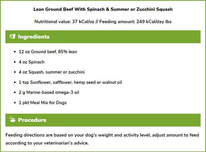 Lean Ground Beef with Spinach & Summer or Zucchini Squash