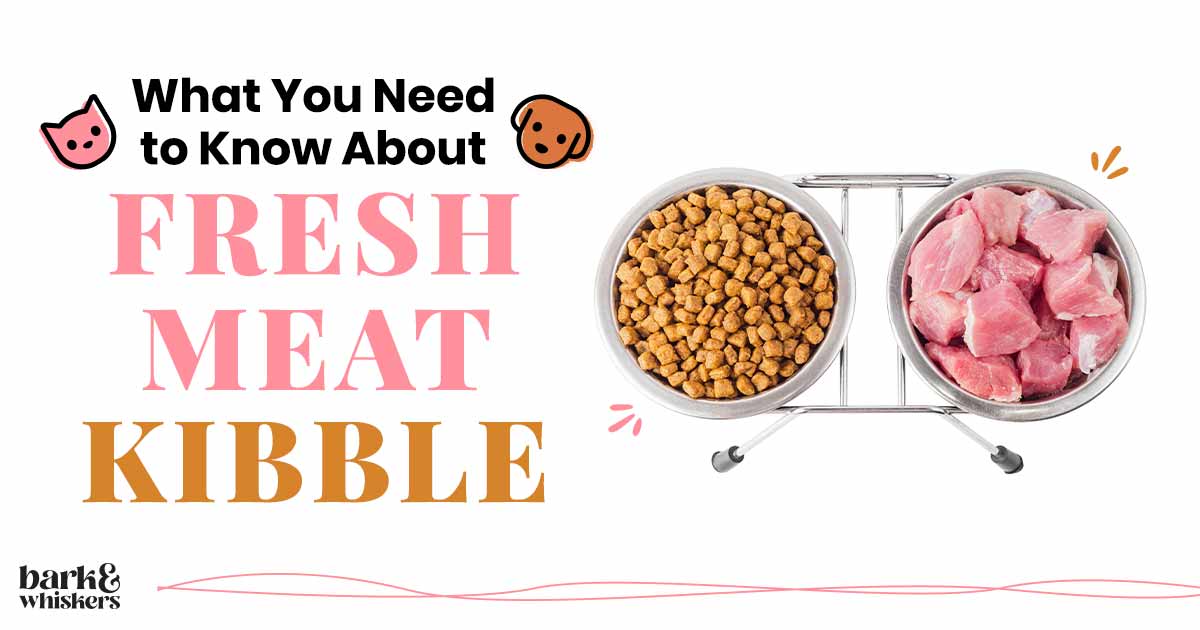 What You Need to Know About Fresh Meat Kibble in Pet Food