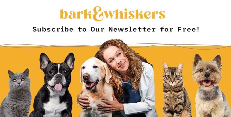 Subscribe to bark & whiskers Newsletter for Free