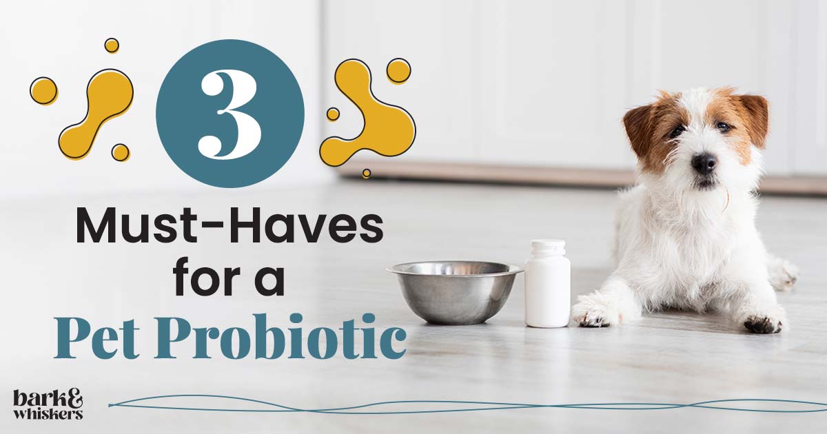 3 MustHaves for a Pet Probiotic