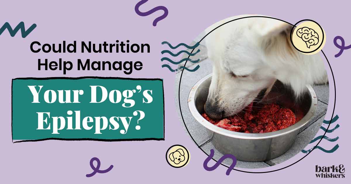Dietary Management of Canine Epilepsy