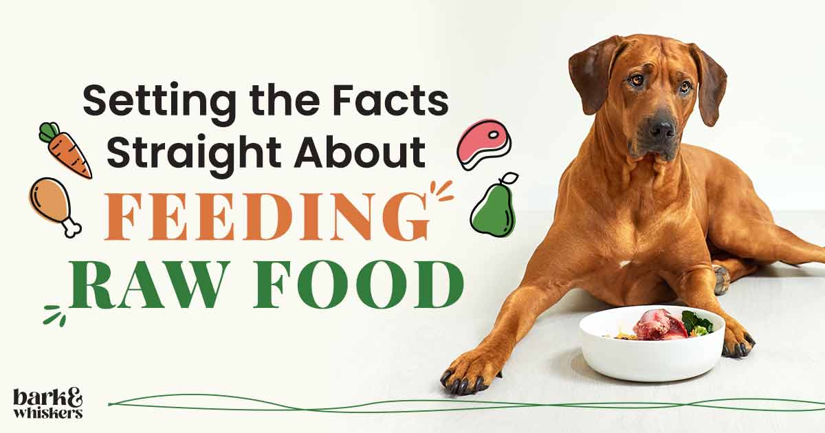 Setting the Facts Straight About Feeding Pets Raw Food