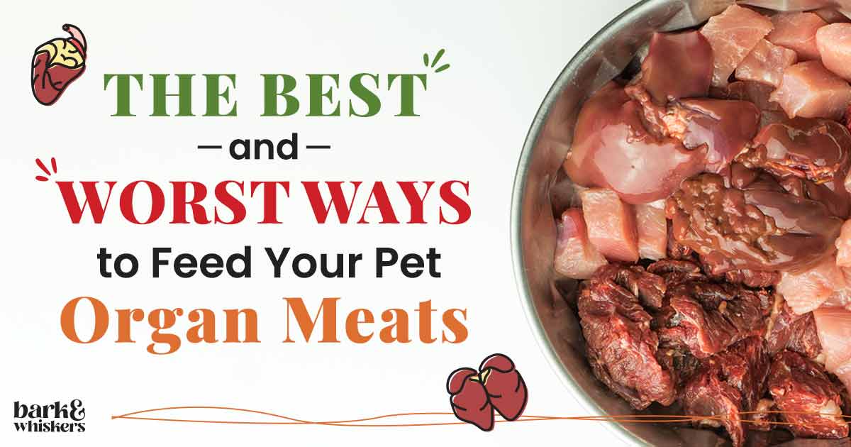 The Best and Worst Ways to Feed Your Pet Organ Meats