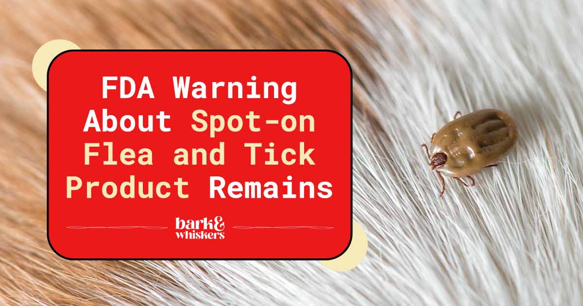 FDA Warning About Spoton Flea and Tick Product Remains