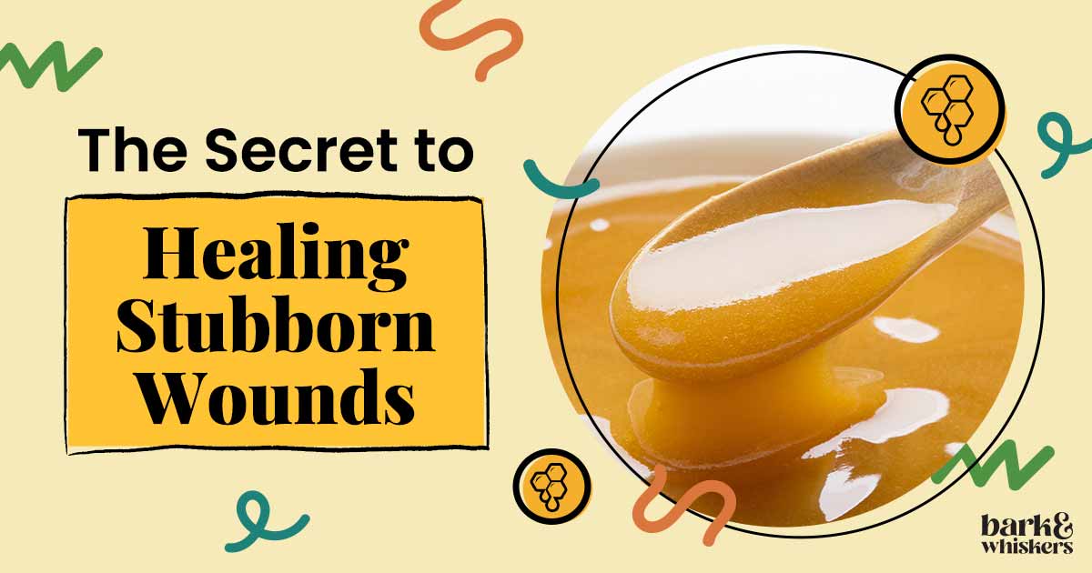 Honey The Secret to Healing Stubborn Wounds(00)