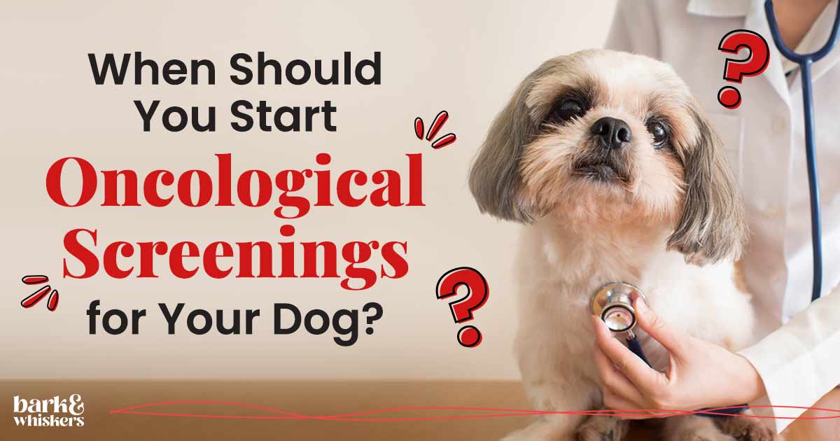 When Should You Start Oncological Screenings for Your Dog?