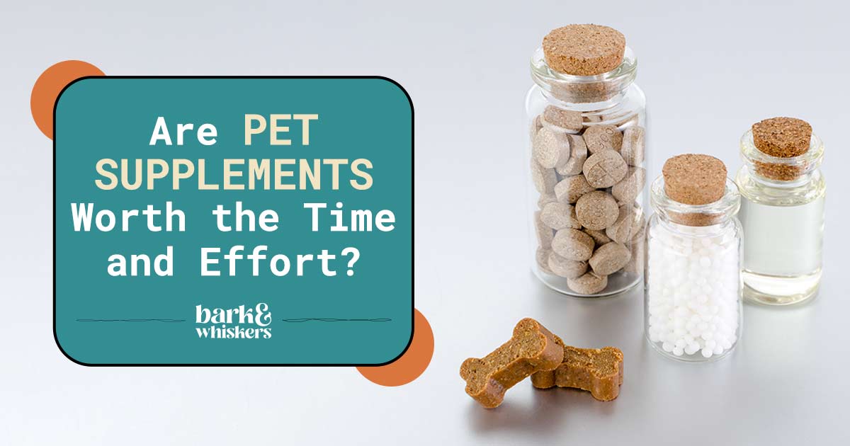 Are Pet Supplements Worth the Time and Effort?