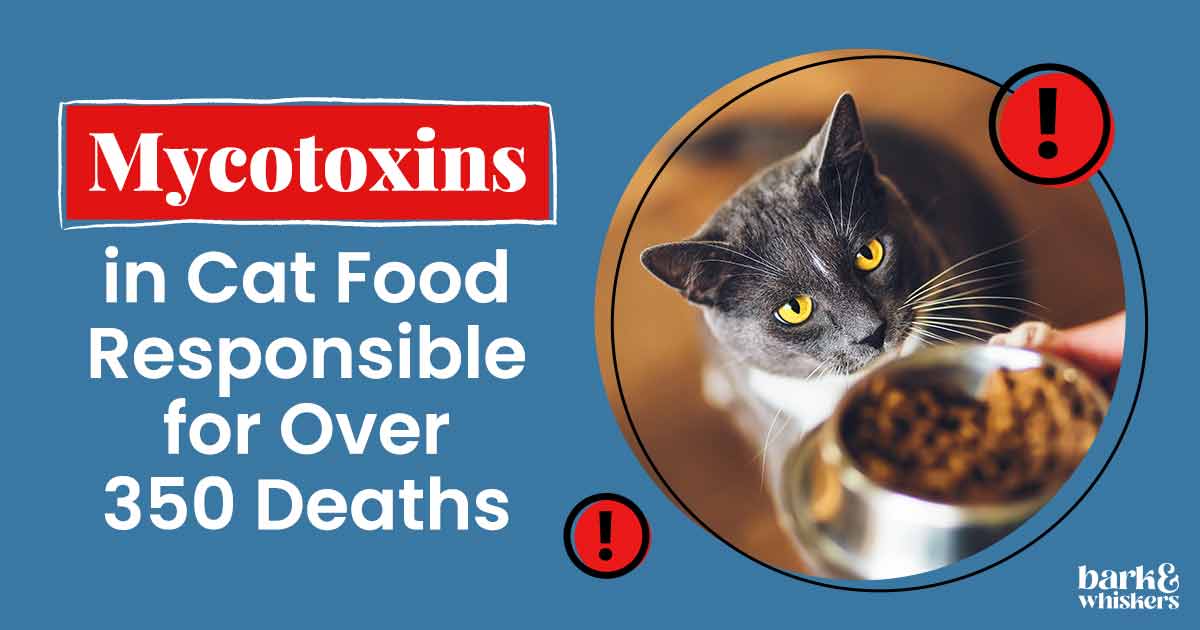 Mycotoxins in Cat Food Responsible for Over 350 Deaths