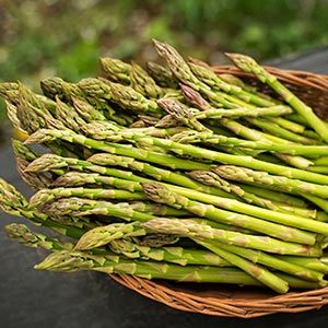 asparagus fun fact
