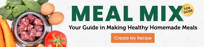 Meal Mix Your Guide in Making Healthy Homemade Meals