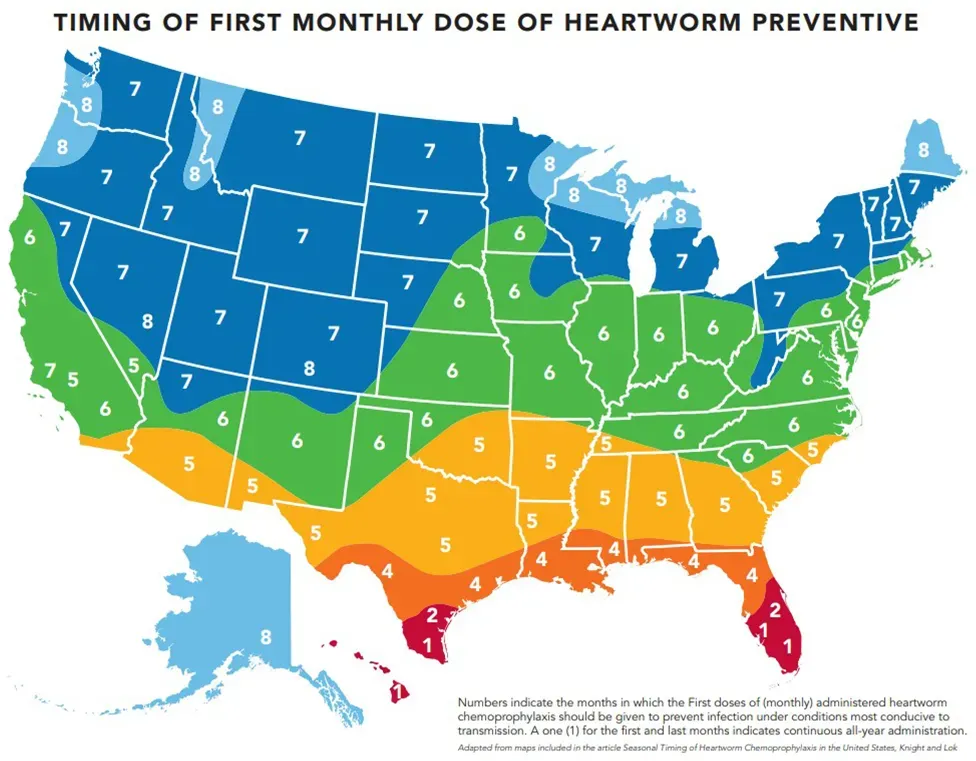 timing of first monthly dose of heartworm preventive