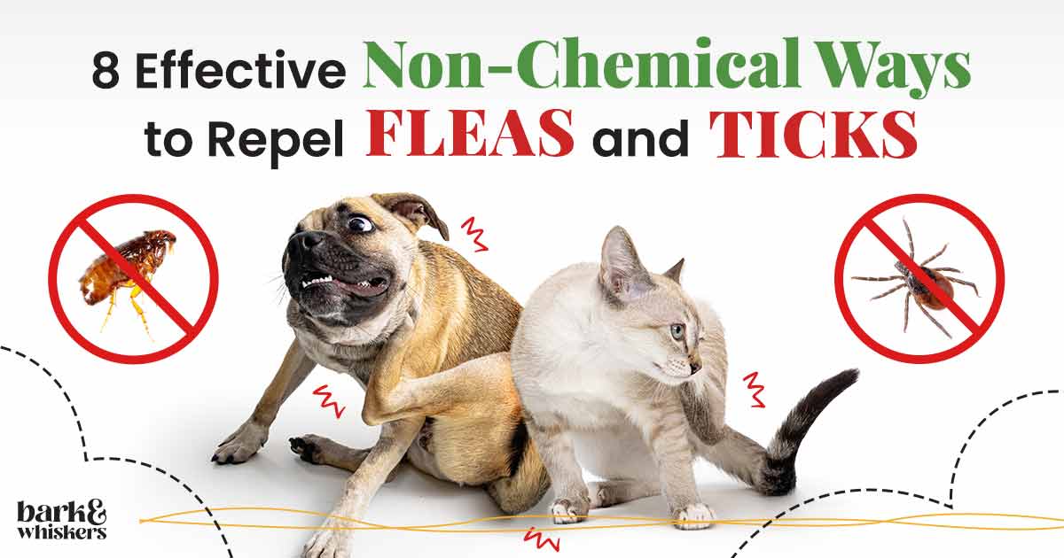 Natural ways to deals repel fleas