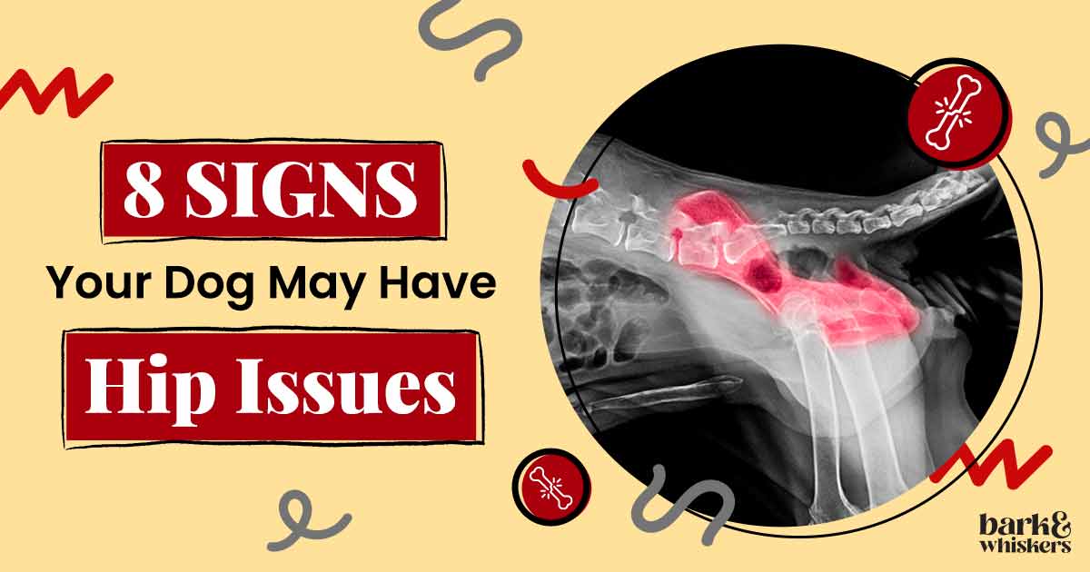 8 Signs Your Dog May Have Hip Issues