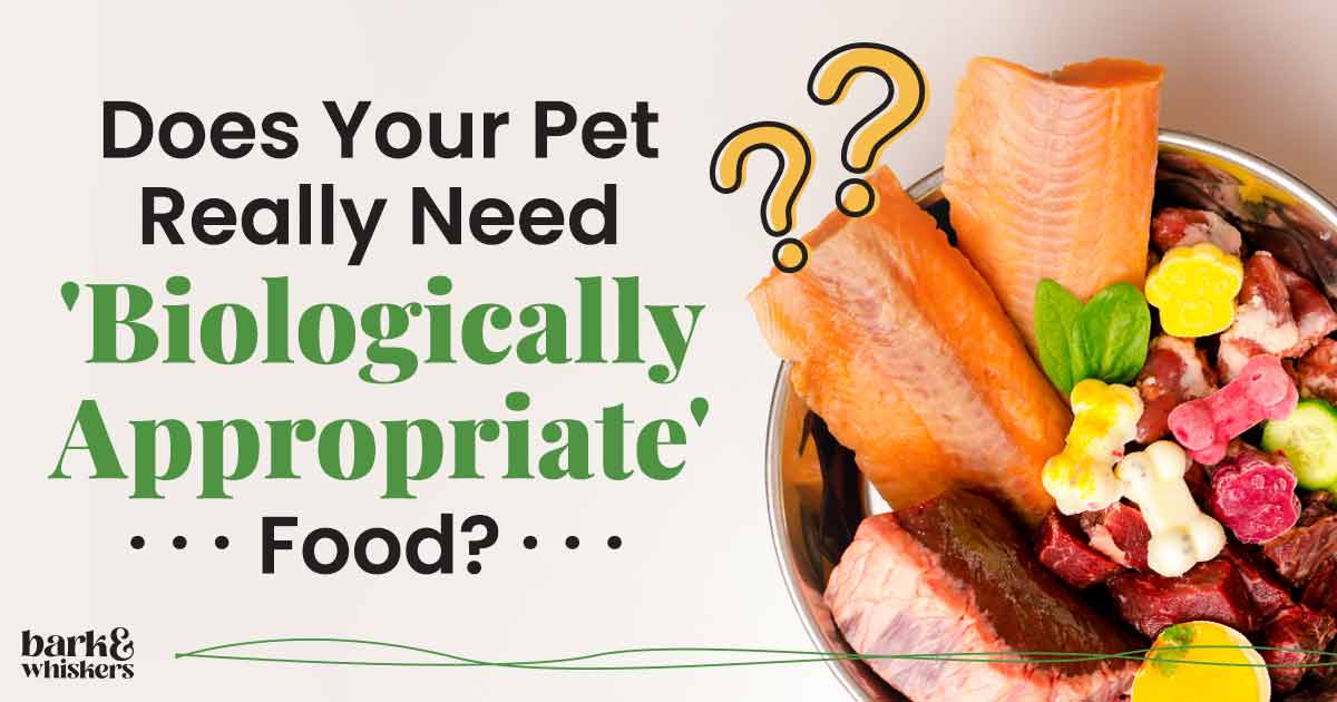 Biologically appropriate dog food sale
