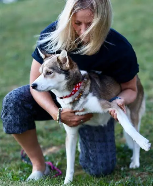 dog chest stretch standing