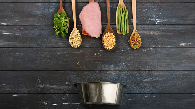 What the Science Says About Human Grade Food for Pets