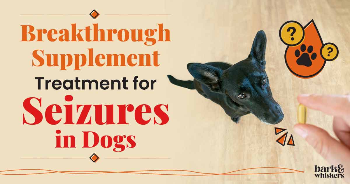 HighDose DHA Treatment for Seizures in Dogs