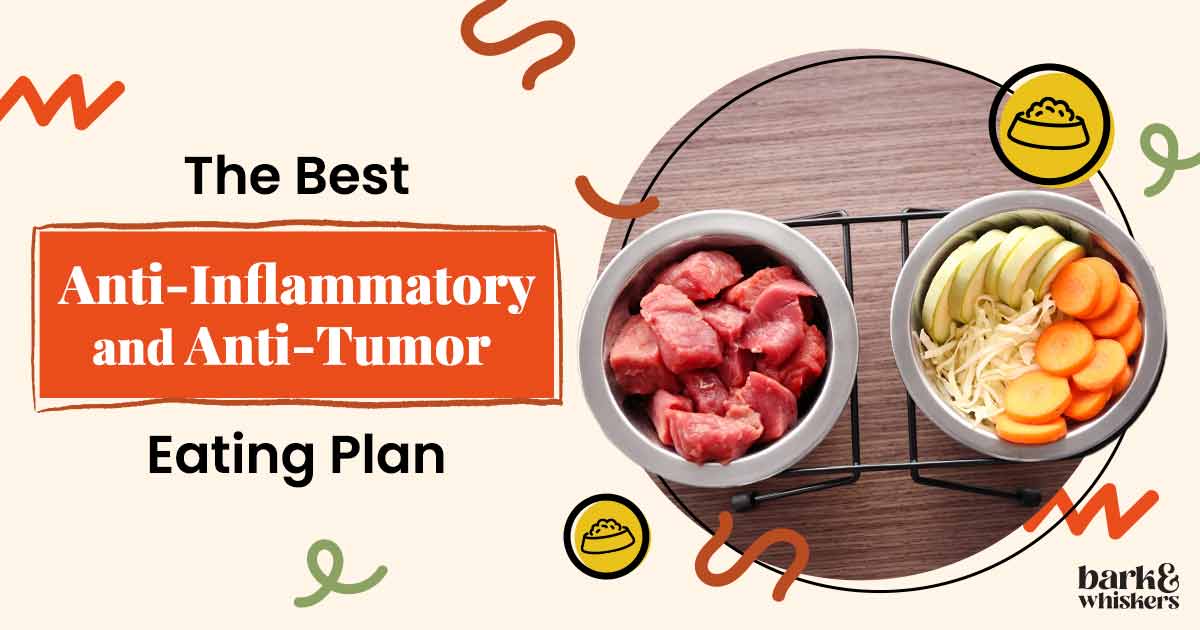 Best anti inflammatory food for cats store
