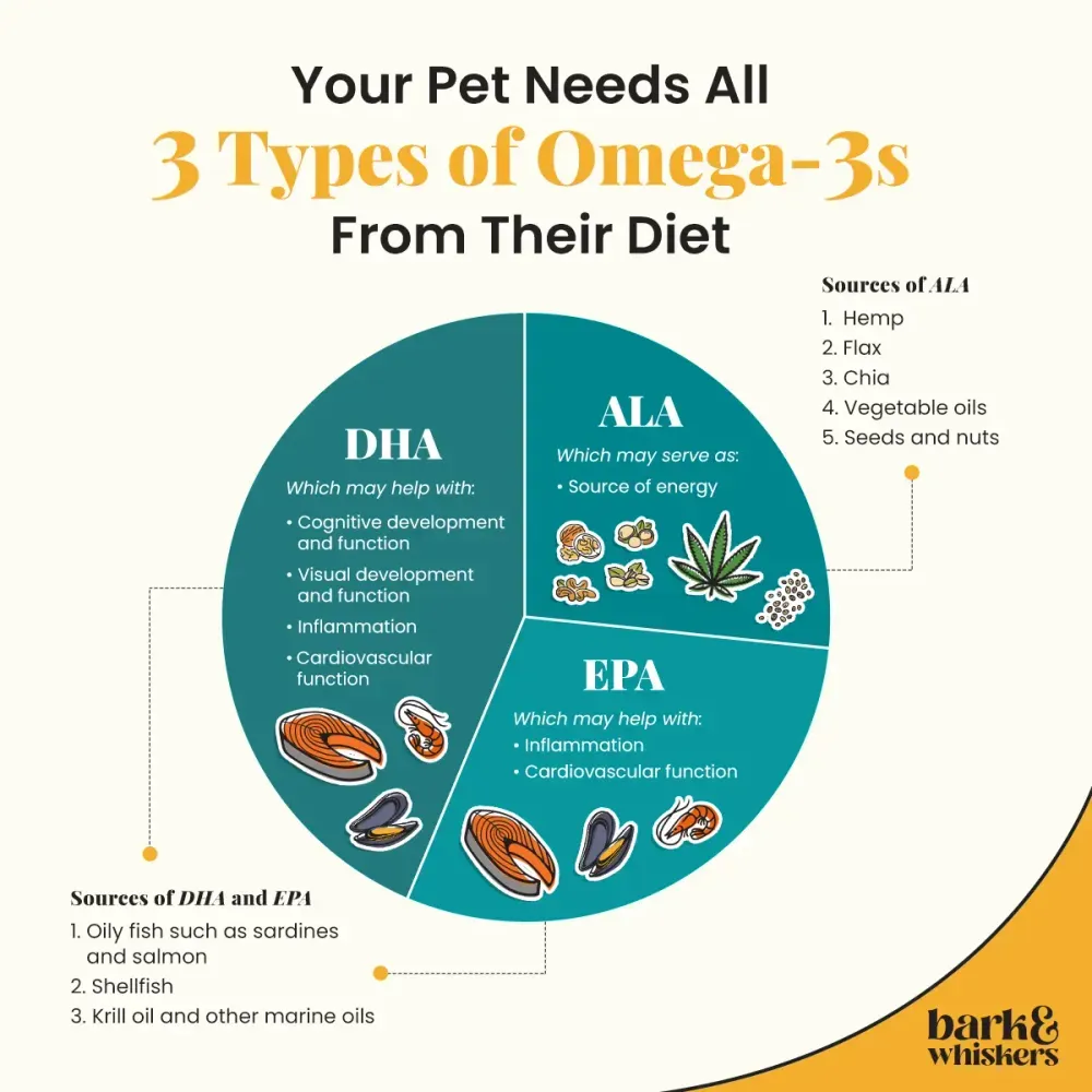 3 types of omega-3s