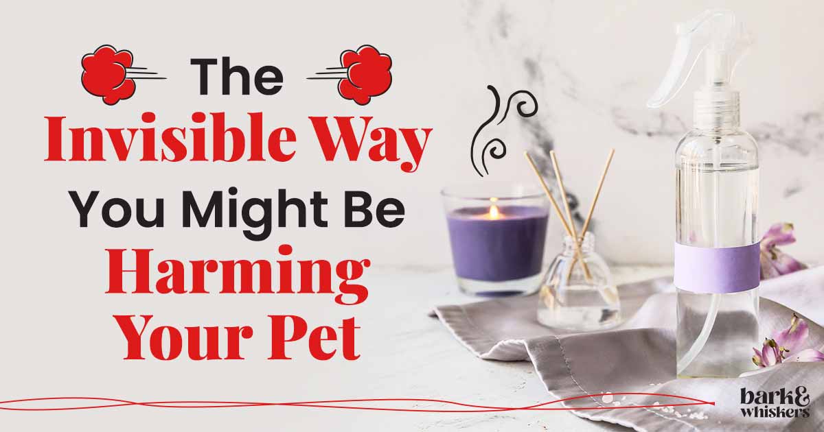 Are Air Fresheners Safe for Pets?