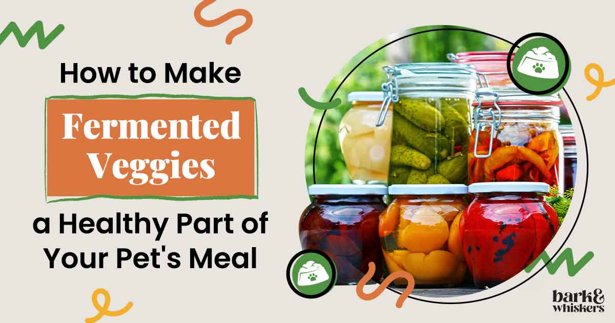 Fermented Vegetables for Pets