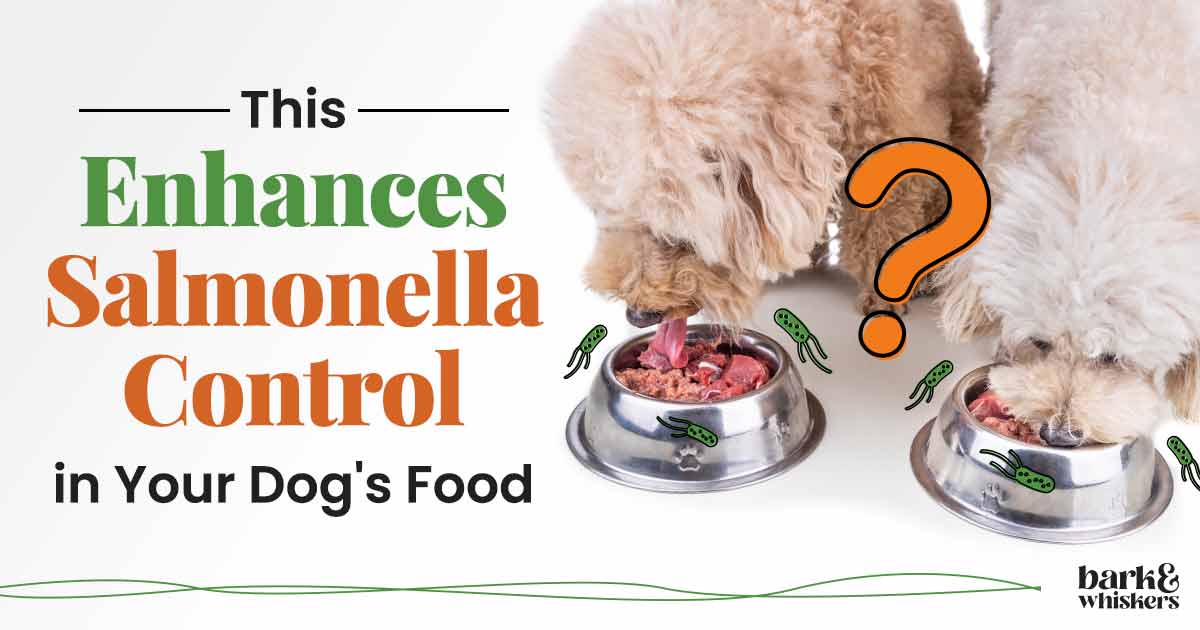 Lactic Acid Enhances Salmonella Control in Your Dog's Food