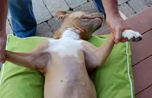 lying on back