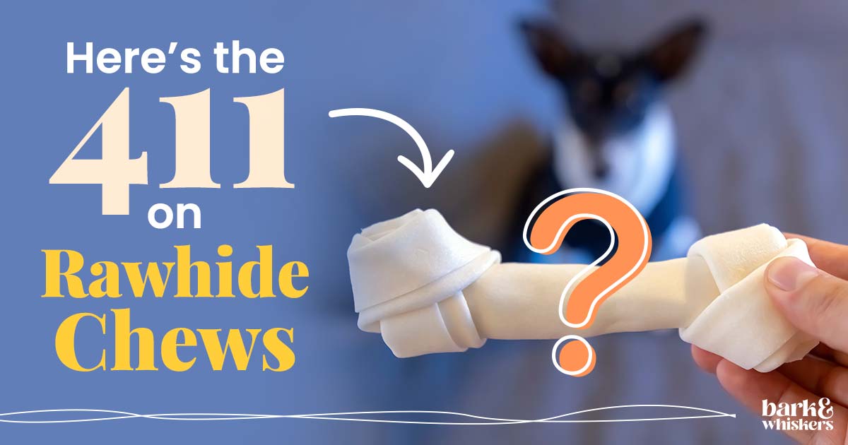 Major Dog Chew Recall Do You Give Your Dog These Brands?