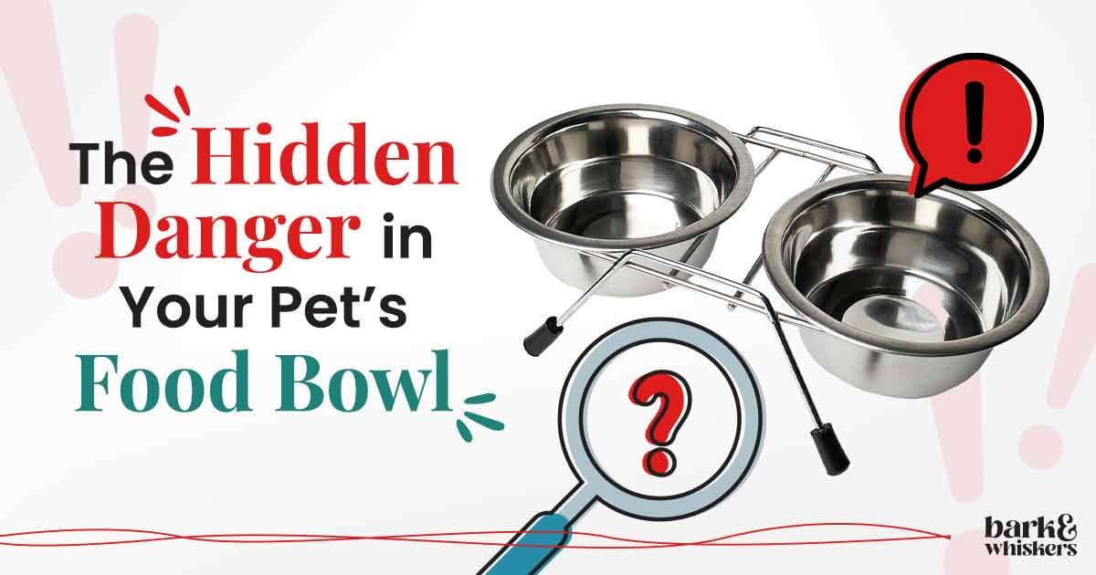 Aflatoxin Contamination in Pet Food