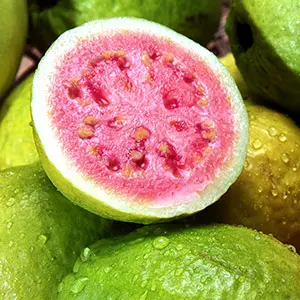 guava