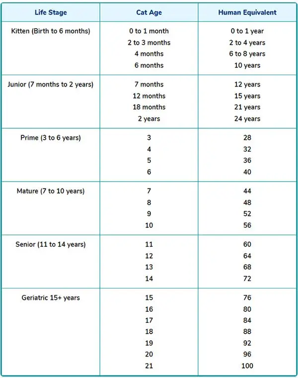 life stage charts