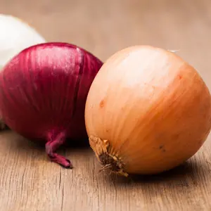 onion