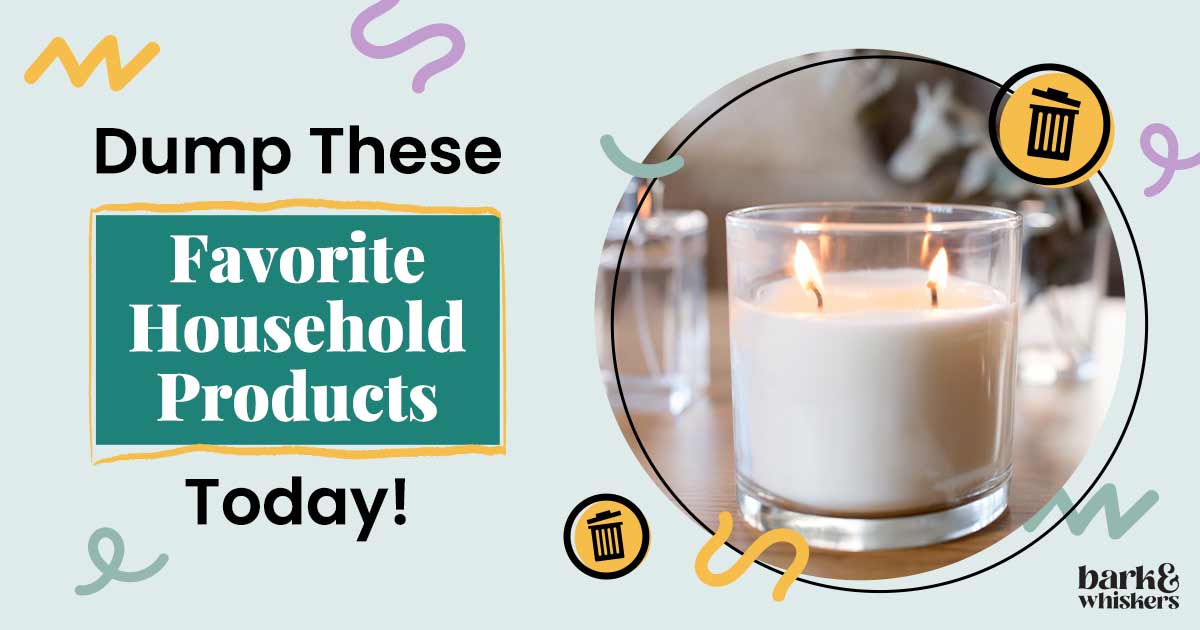 Dangers of Scented Candles and Plugins for Your Pets