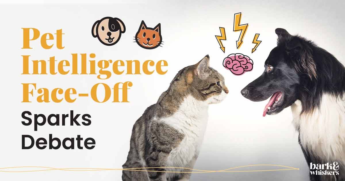 Dog vs. Cat Pet Intelligence FaceOff Sparks Debate