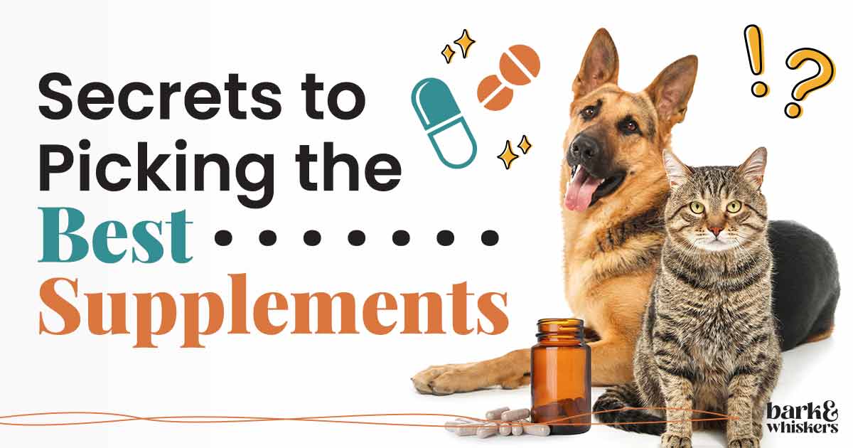 Better Regulations for Pet Dietary Supplements