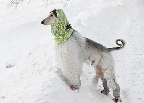 quirky afghan