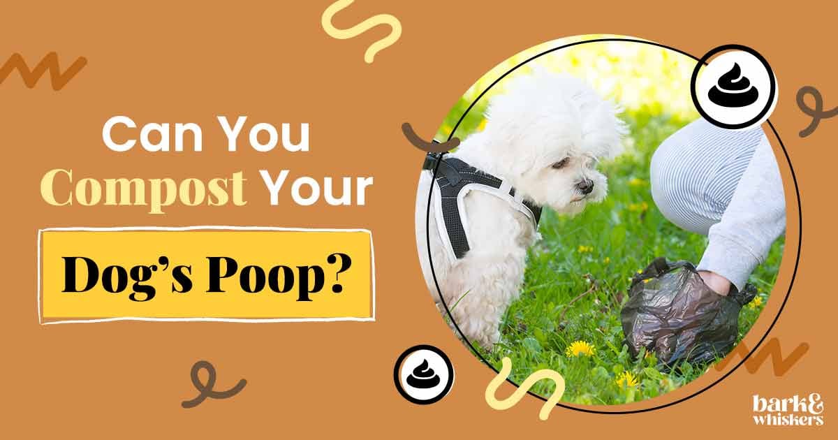 Turn Your Dog Waste Into Compost