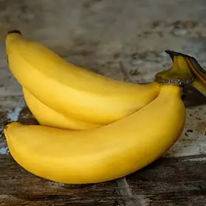 Gros Michel banana