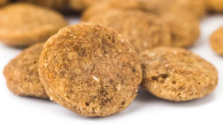 Hydrolyzed Proteins: What's Really in That Kibble?