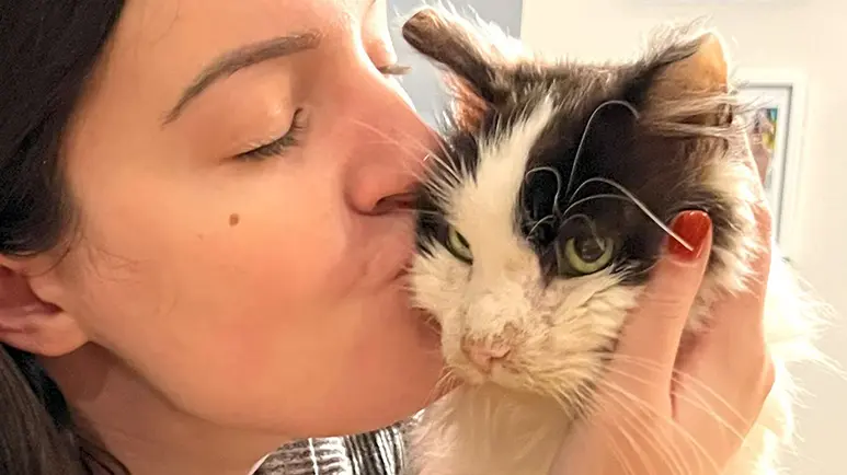 This Was a Shelter Cat's Fairy Tale Ending