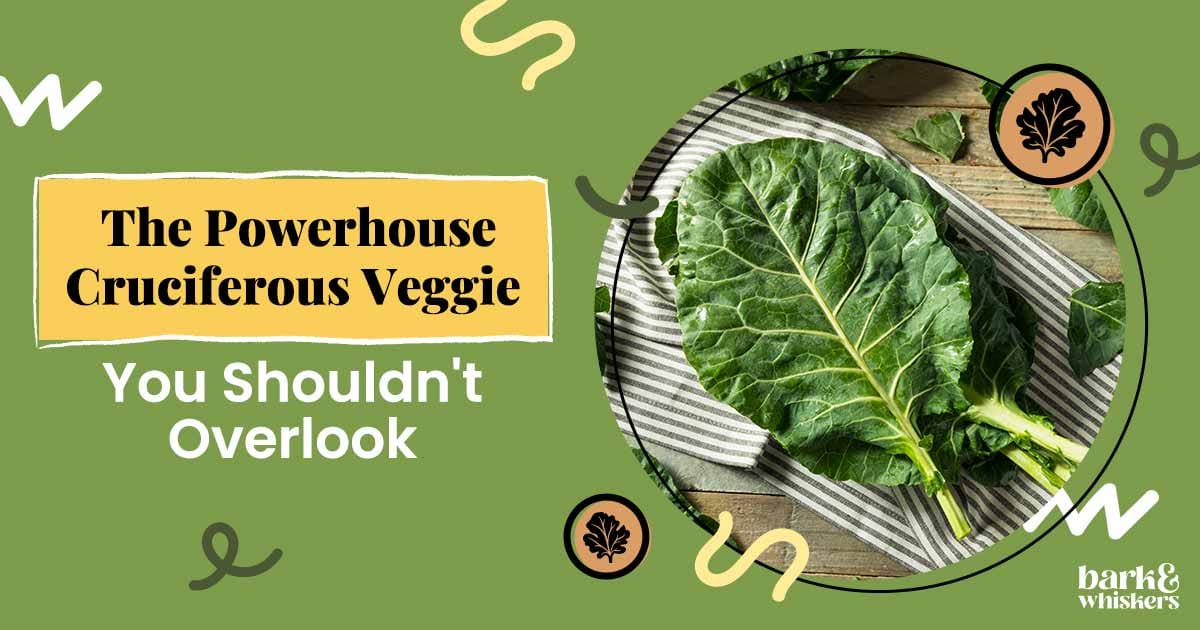 Can Pets Eat Collards?