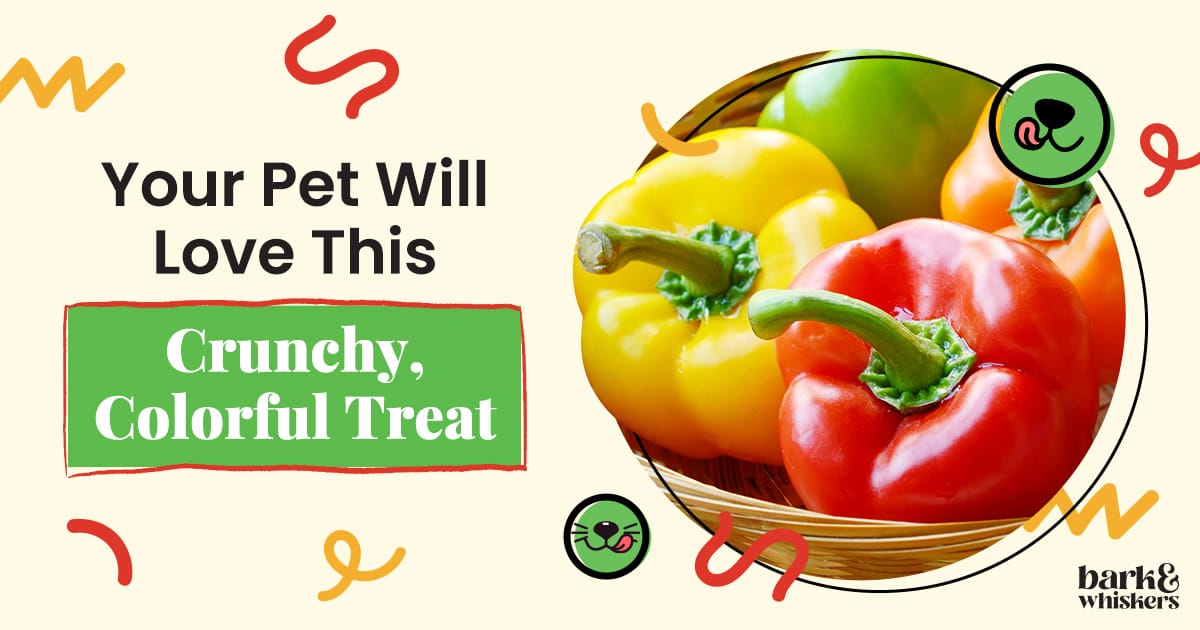 Are Bell Peppers Good for Pets