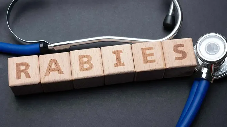 Don't Let This Happen to You: Know What to Do About Rabies