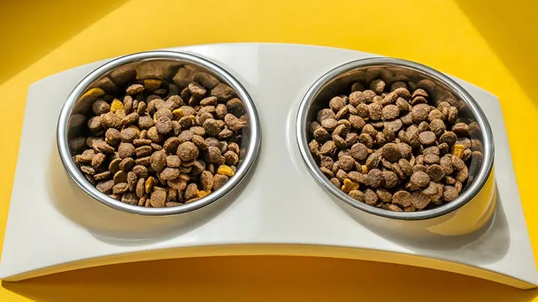 Watch Out for This Breaking Food Fad That Can Pummel Your Pet's Health