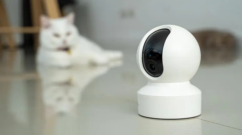 Could This Device Help Ease Your Pet's Separation Anxiety?